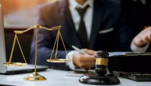Legal Support & Advisory Services